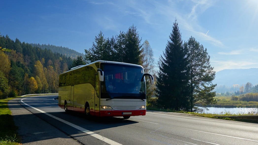 Busreise organisieren